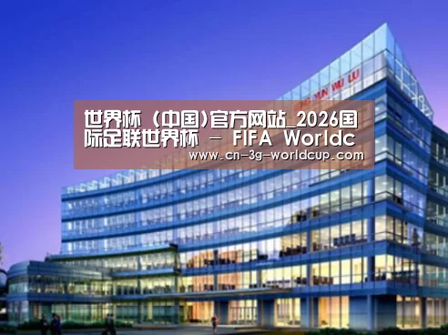 世界杯案例展示三