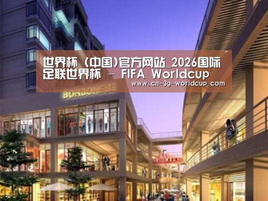 世界杯案例展示一