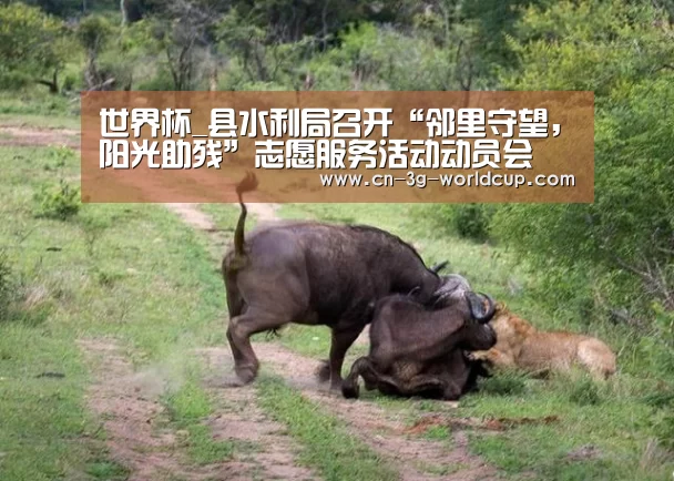 世界杯_县水利局召开“邻里守望,阳光助残”志愿服务活动动员会(图1) 2026国际足联世界杯